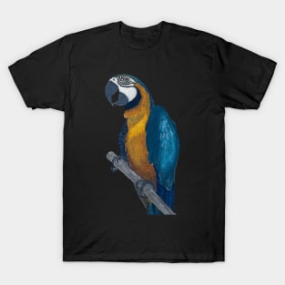 Blue + Yellow Macaw on a Twig Scientific Drawing T-Shirt